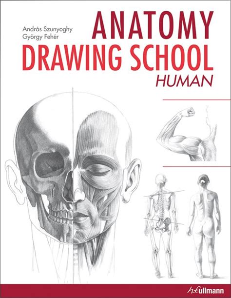 Anatomy drawing, Drawing school, Drawing book pdf