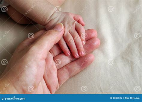 New born baby s hand stock photo. Image of bondage, finger - 8809592