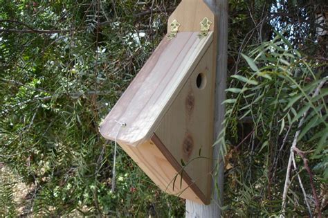 Bird House Plans For Finches | Birdcage Design Ideas