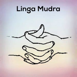 Linga Mudra : Steps Benefits of Linga Mudra - nexoye