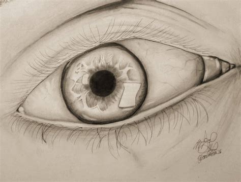 Realism with Charcoals! Realistic Human Eye by LioraLaeticia16 on DeviantArt