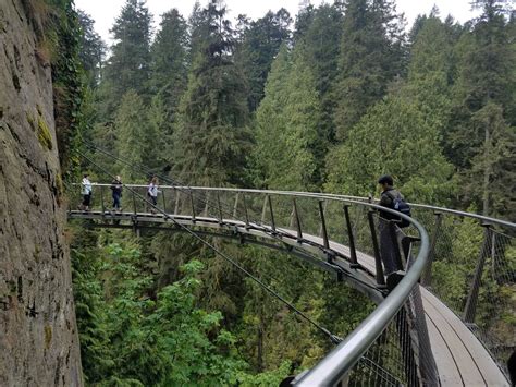 Capilano Bridge 2019