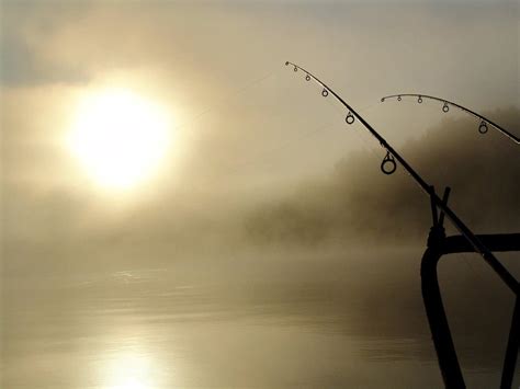 Best Way to Catch Rainbow Trout: Top 10 Tips | High Altitude Brands