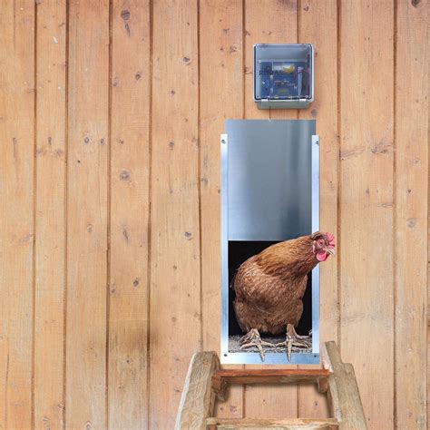 Best Automatic Chicken Doors in 2022