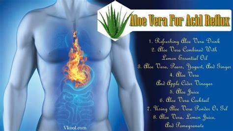 8 Natural Ways On How To Use Aloe Vera For Acid Reflux Disease