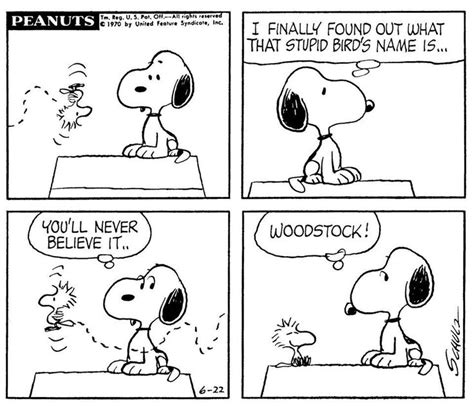 The first time Woodstock appeared in the comic | Snoopy comics, Snoopy ...