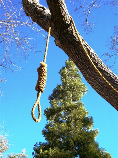 Get a rope! Hangman's noose hanging from the tree at the 'ghost town' of Corlew's Silver City in ...
