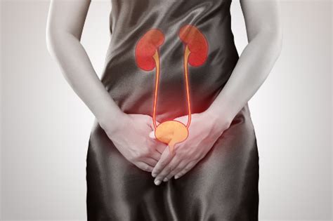 Bladder Inflammation: Causes, Diagnosis, and Natural Treatments