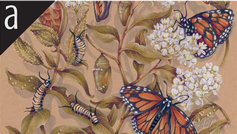 Marker Painting Workshop Live: Illustrated Monarch | Amy Shulke