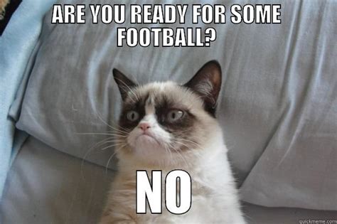 Grump Cat and Football - quickmeme