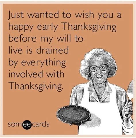 Pin by Doug'sPicks on Irreverent humor | Funny thanksgiving memes, Ecards funny, Funny thanksgiving