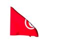 Flag Tunisia Animated Flag Gif