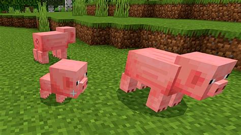 Pigs in Minecraft: Everything you need to know