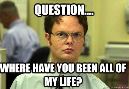 question.... where have you been all of my life? - Schrute - quickmeme