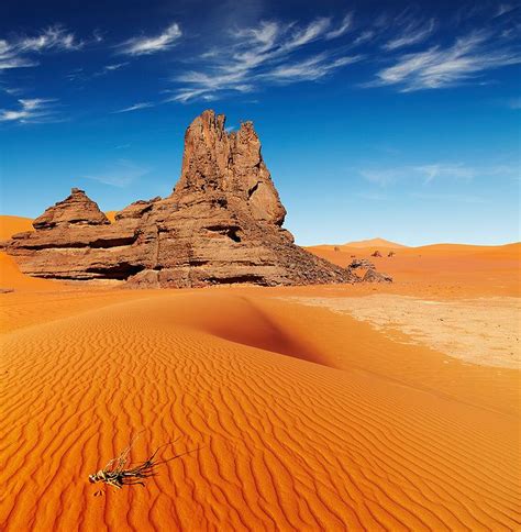 Sahara Desert, Algeria | Photo, Algeria, Sahara desert