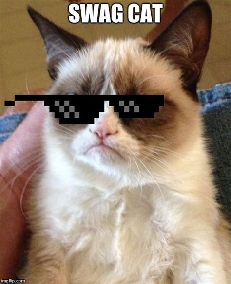 Grumpy Cat Meme - Imgflip