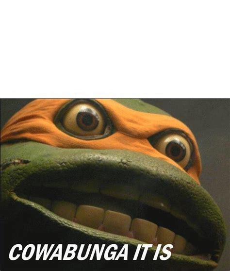 Cowabunga It Is Blank Template - Imgflip