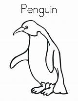 Free Printable Penguin Coloring Pages For Kids sketch template