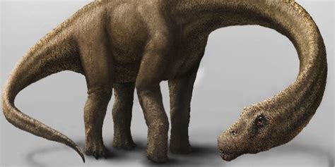 'Dreadnoughtus' Was One Huge Dinosaur, But Maybe Not As Huge As We Thought | HuffPost