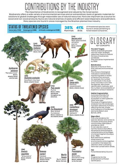 Planted Trees and Biodiversity - Global Landscapes Forum