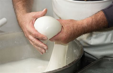 Mozzarella Cheese | How It’s Made | FoodUnfolded