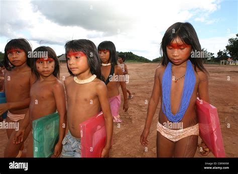 School For The Xingu Indians In The Amazone, Brazil Stock Photo, Royalty Free Image: 39863228 ...