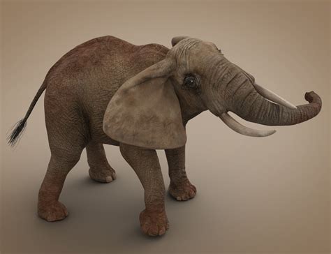 African Elephant Updated | Daz 3D