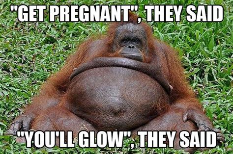 71 Funny Pregnancy Memes with Laughs for Moms and Dads