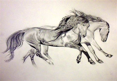 Running Horses Drawing at GetDrawings | Free download