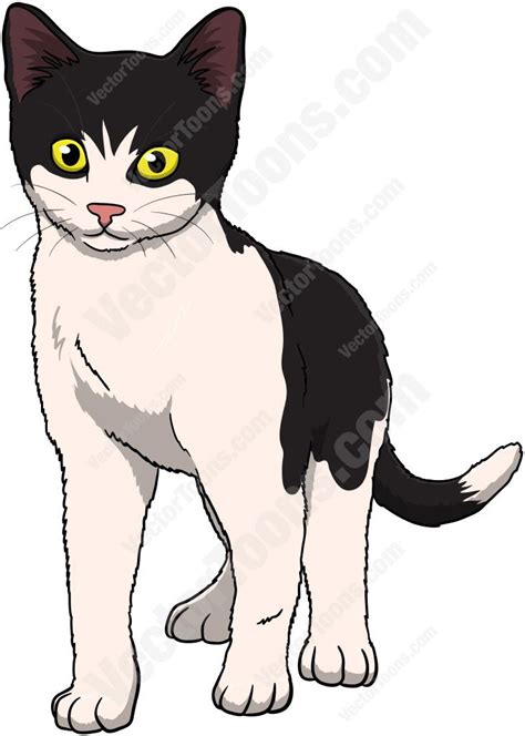 Black and white kitten standing and looking ahead | Desenhos de gatos ...