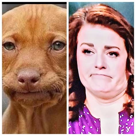 Disappointed Dog Meme vs. Disappointed Robin : r/SisterWives