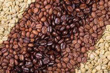 Coffee Roasts Explained – The Ultimate Guide For Understanding Coffee Beans