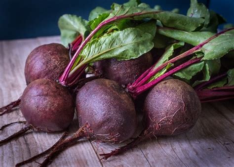 Growing Beetroot Hydroponically - A Full Guide | Gardening Tips