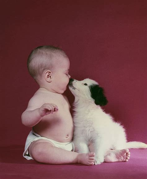 This kiss that says it all: | Definitive Proof That Puppies And Babies ...