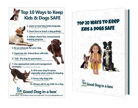 Top 20 Ways To Keep Kids and Dogs SAFE - Good Dog in a Box