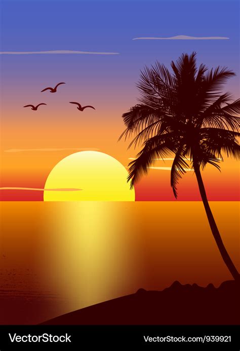 Sunset with palmtree silhouette Royalty Free Vector Image