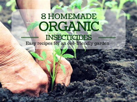 8 Recipes for Homemade Organic Insecticides | HubPages