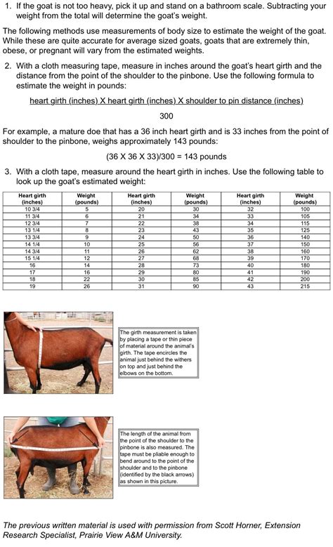 How to weigh your goats | Goat playground, Goats, Rescue