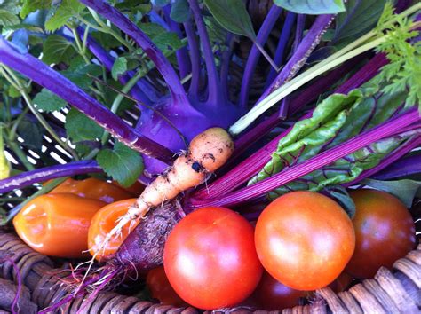 Garden Harvest...October 17, 2014 | Garden harvest, Self watering, Gardening tips