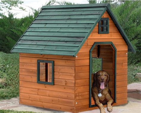 My Outdoor Plans Large Dog House at Wendell Ratliff blog