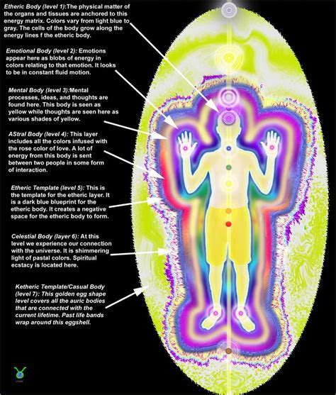 This is a diagram showing the first 7 layers of the aura. They correspond to the first 7 chakras ...