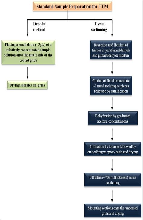 Standard sample preparation technique for TEM (as described in the text). | Download Scientific ...