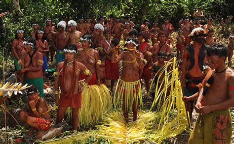 Quarta Assembleia da Hutukara Associação Yanomami, em Toototobi (AM ...