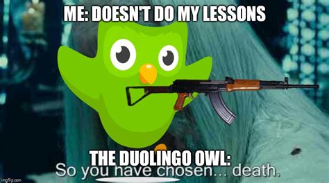 duolingo Memes & GIFs - Imgflip