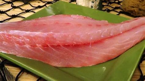 Frozen Corvina Fish Fillet at Best Price in New Delhi | Kirti Foods