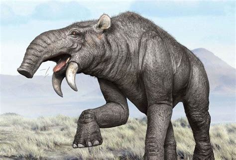 Deinotherium Prehistoric Wildlife, Prehistoric World, Prehistoric ...