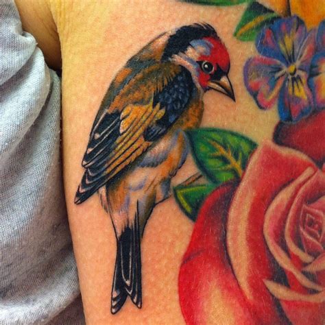 High Wycombe | Goldfinch tattoo, Birds tattoo, Goldfinch bird