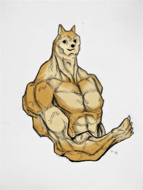 buff doge art : r/doge