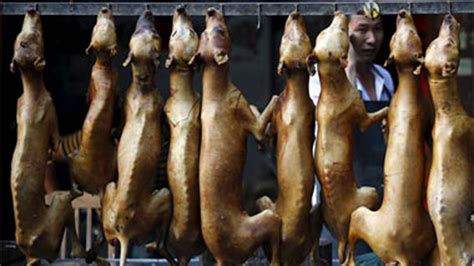 Why China's dog eating festival makes us lose our appetite