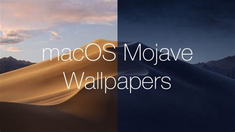 Download the New macOS Mojave Wallpapers [Light and Dark]